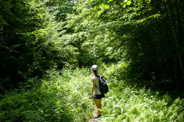 夏山の登山道で虫対策をする登山者
