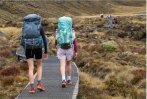 登山に最適なショートパンツの選び方