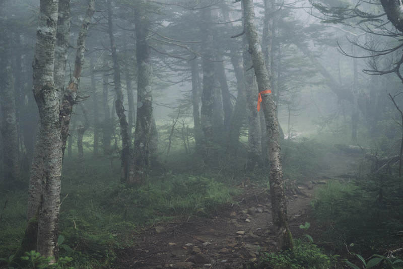 登山中のピンクテープの活用法