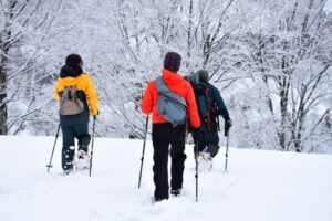 スノーシューで雪の丘を登る登山者（ストック使用、冬のハイキング）