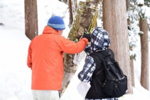雪の森でメイプルサップ（樹液）を採取する体験（越後ハーブ香園入広瀬）