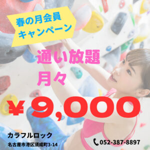 名古屋でボルダリング通い放題