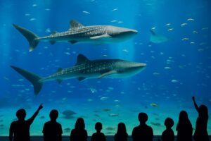 名古屋港水族館イメージ