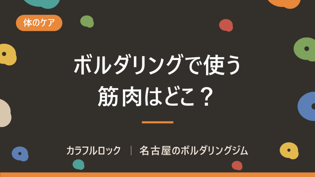 ボルダリングで使う筋肉はどこ?鍛えられる部位と筋肉痛の対処法