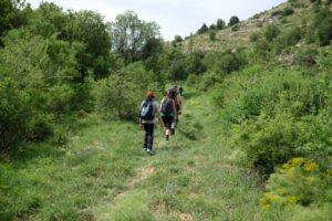 登山ツアーに初心者が一人で参加するイメージ