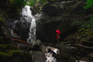 樹林帯や林道など登山で折りたたみ傘が使える場面