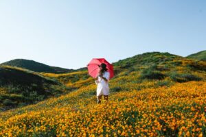 レインウェアと折りたたみ傘を使い分ける登山のイメージ