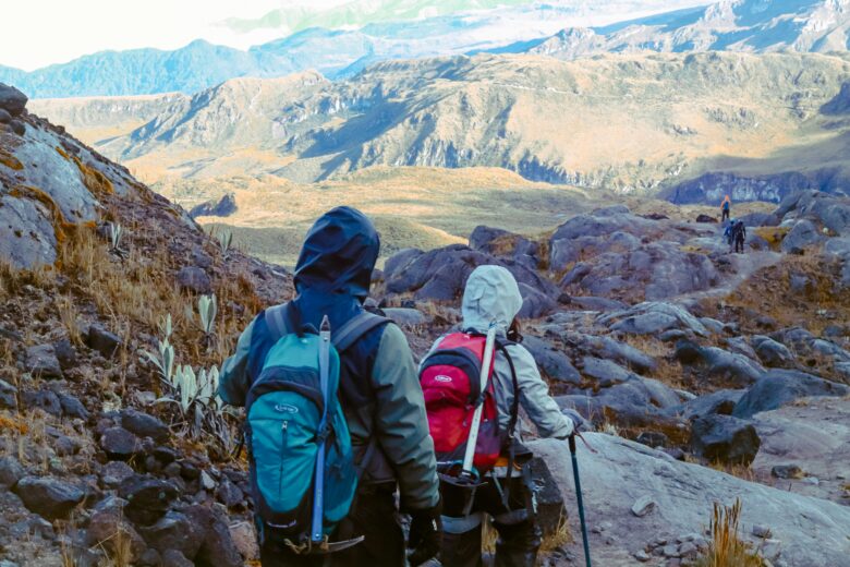 岩場や鎖場で手を保護する夏山用トレッキンググローブ