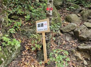 御在所岳の登山ルート比較