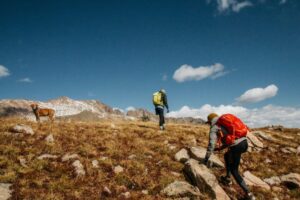 山頂を目指して尾根道を歩く登山者