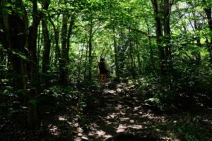 ヤマビルに吸われたときの対処法