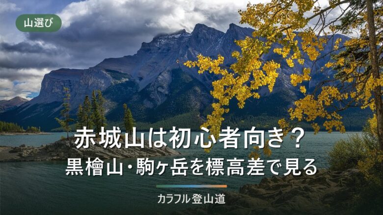 赤城山・黒檜山を初心者が日帰りで登る|標高1828mの2コース比較とビジターセンター閉鎖後の現況