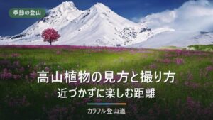 高山植物は「採らない」の前に「近づかない」｜自然公園法第20条・第21条と双眼鏡で見る距離