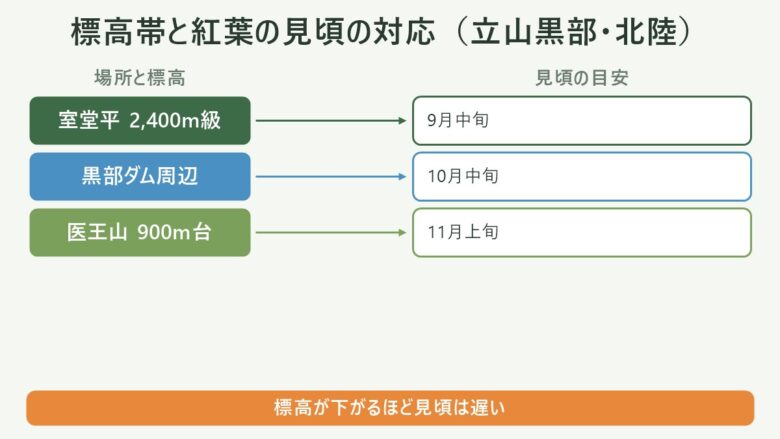 北陸の紅葉登山の標高帯と見頃の対応。室堂平2,400m級は9月中旬、黒部ダム周辺は10月中旬、医王山クラス900m台は11月上旬