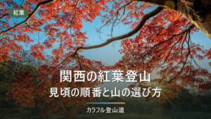 関西の紅葉登山｜見頃の順番と初心者向けの山の選び方