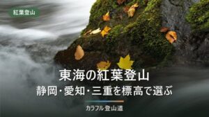 東海の紅葉登山6座｜静岡・愛知・三重を標高から逆算して見頃を選ぶ【2026年版】