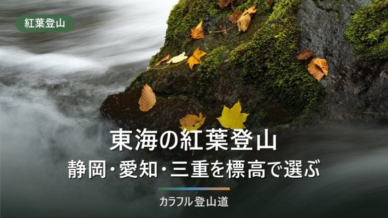 東海の紅葉登山6座|静岡・愛知・三重を標高から逆算して見頃を選ぶ【2026年版】