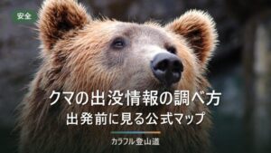 登山前のクマ出没情報はどこで調べる｜都道府県公式マップと3段階の確認手順