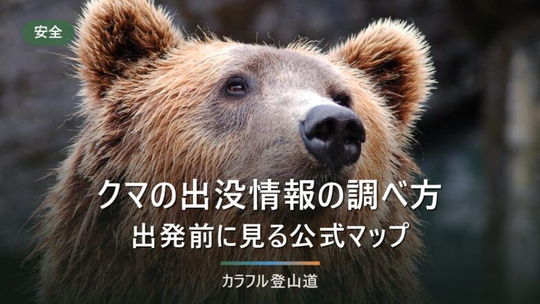 登山前のクマ出没情報はどこで調べる|都道府県公式マップと3段階の確認手順