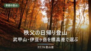 秩父の日帰り登山4座｜武甲山1304mから宝登山497mまで標高差とアクセスで選ぶ