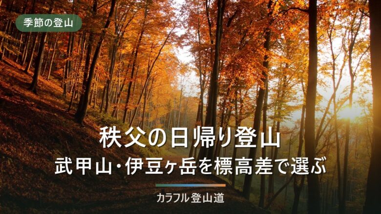 秩父の日帰り登山4座|武甲山1304mから宝登山497mまで標高差とアクセスで選ぶ