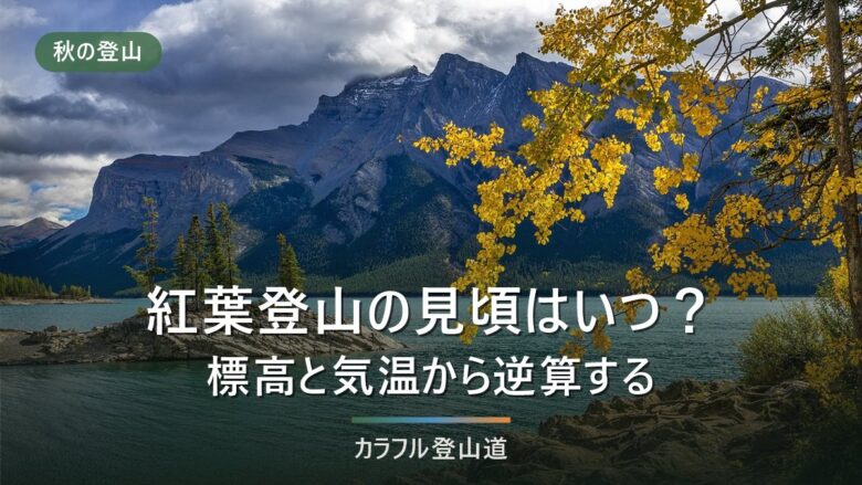 紅葉登山の時期は標高で読む|見頃を自分で逆算する早見表と判定チェック【2026年版】