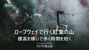 紅葉登山のロープウェイ7本比較｜稼げる標高差・山頂駅からの歩行時間・2026年の運行終了日