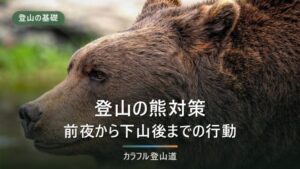 登山の熊対策｜前夜から下山後までの行動と熊鈴・熊スプレー
