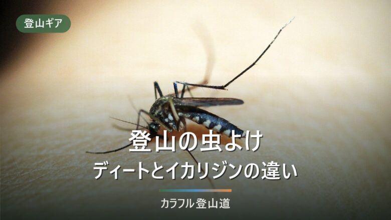 登山の虫除けスプレー「最強」はどれ?ディート30%とブヨ・マダニ別の対策を解説