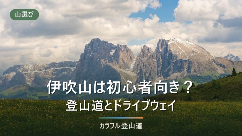 伊吹山は今も登れる?麓の登山道の通行止めの状況と、山頂遊歩道という現実解【2026年8月】