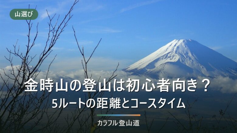 金時山の登山は初心者向き?5ルートの距離とコースタイムで自分に合う道を選ぶ