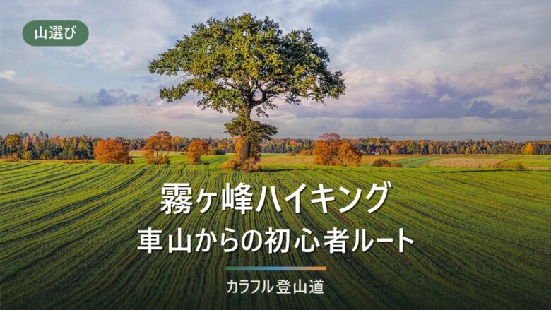 霧ヶ峰ハイキング入門|車山からの初心者コース比較と持ち物・リフト情報
