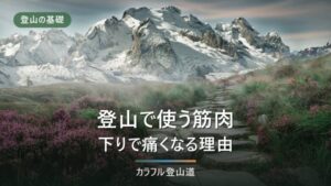 登山で使う筋肉｜大腿四頭筋・ハムストリングなど部位別に解説