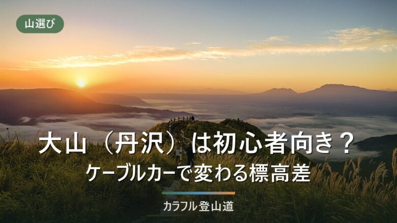 大山(丹沢)登山は初心者向き?ケーブルカーで変わる標高差とコースタイム