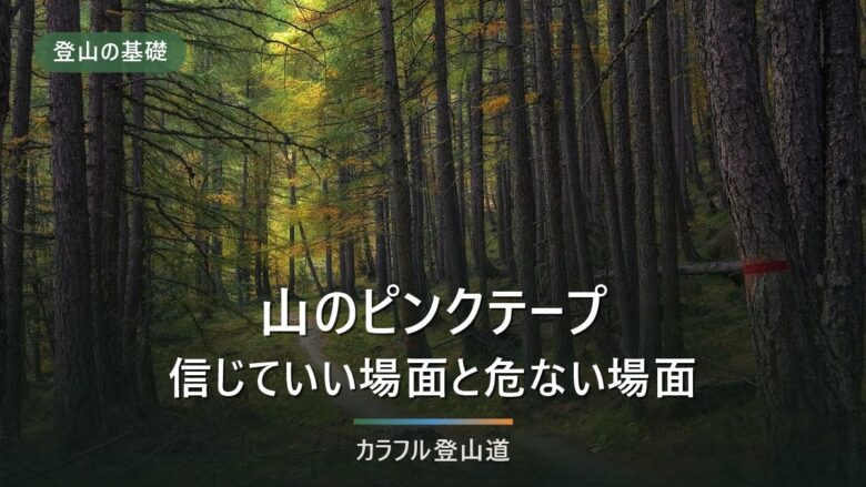 登山のピンクテープの意味|信じていい場面と危ない場面の見分け方