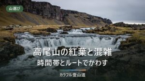 高尾山の紅葉と混雑｜見頃の時期と時間帯・7コースの公式データでかわす現実的な作戦