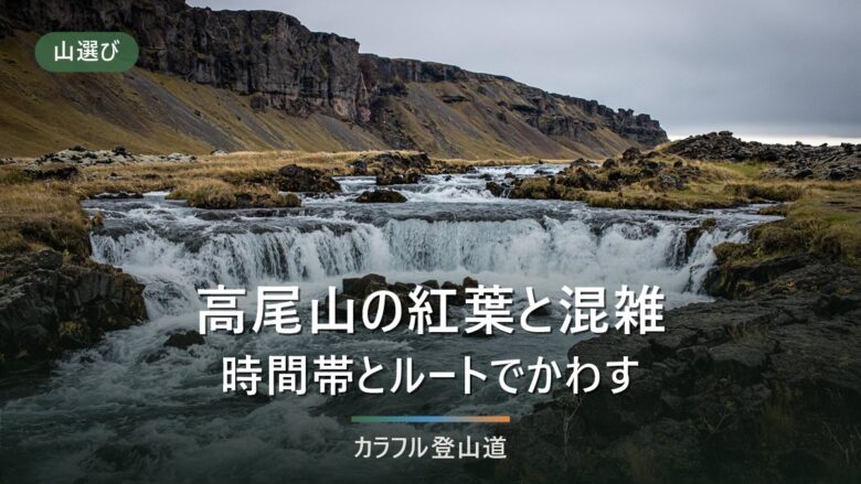 高尾山の紅葉と混雑|見頃の時期と時間帯・7コースの公式データでかわす現実的な作戦