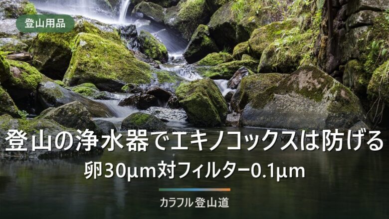 登山の浄水器でエキノコックスは防げる|卵30μm対フィルター0.1μmの差