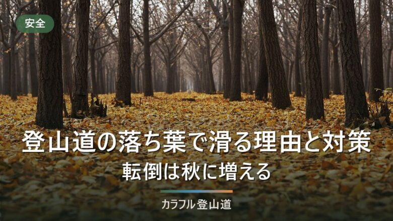 登山道の落ち葉で滑る理由と対策|歩き方・靴・道具でできること