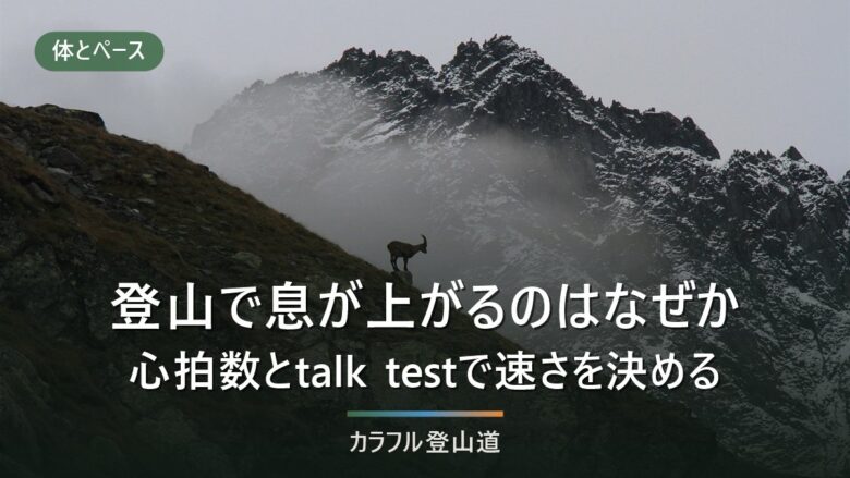 登山で息が上がるのはペースが速いから|心拍数とtalk testで自分の速さを決める