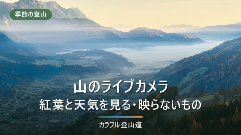 登山の紅葉ライブカメラの探し方|富士山・北アルプスと設置者で変わる信頼度