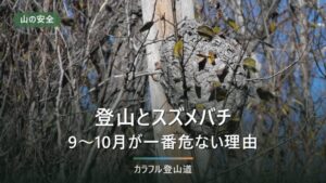 登山とスズメバチ｜9〜10月がいちばん危ない理由と刺されない歩き方