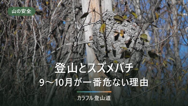 登山とスズメバチ|9〜10月がいちばん危ない理由と刺されない歩き方