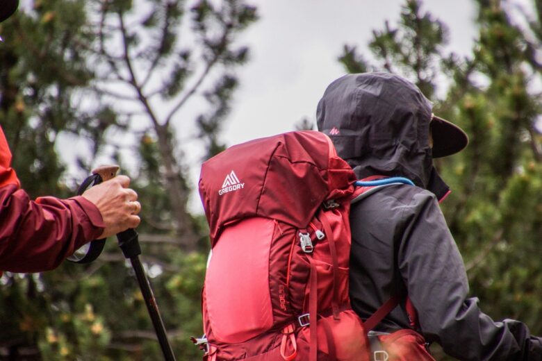 ザックを背負いポールを持つ登山者