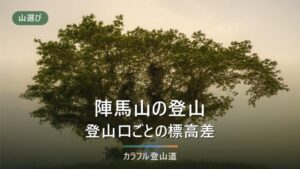 陣馬山の登山｜4つの登山口の標高差と、高尾山まで縦走する日の時刻の決め方