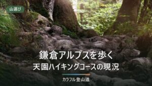 鎌倉アルプス（天園ハイキングコース）を歩く｜大平山159mの行程と通行止めの確認先