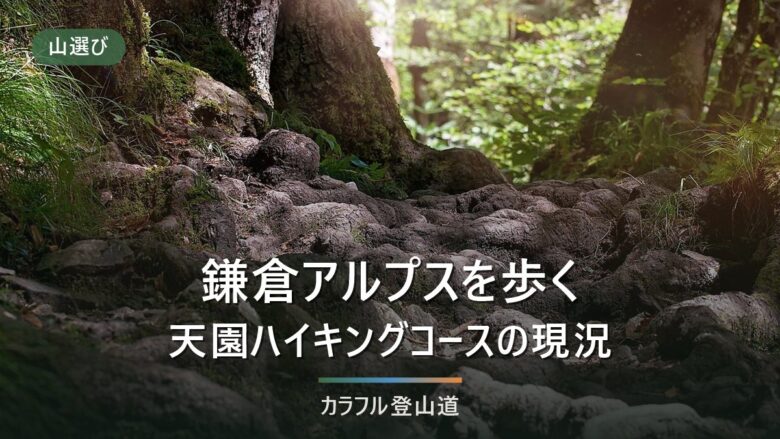 鎌倉アルプス(天園ハイキングコース)を歩く|大平山159mの行程と通行止めの確認先