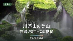 川苔山の登山｜百尋ノ滝コースの通行状況と、鳩ノ巣駅コースとの使い分け