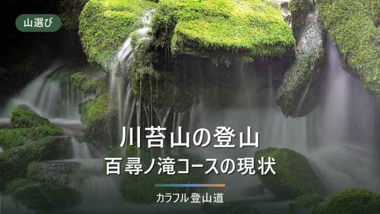 川苔山の登山|百尋ノ滝コースの通行状況と、鳩ノ巣駅コースとの使い分け