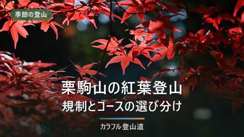 栗駒山の紅葉登山|いわかがみ平の規制と、中央コース・東栗駒コースの選び分け